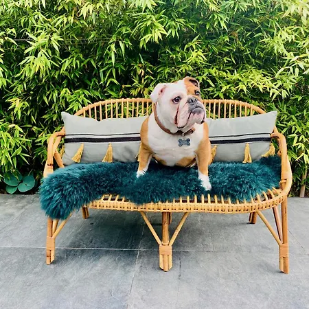 Nyaraló La Maison Blanche Du 10honfleur Honfleur