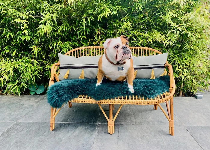 Holiday home La Maison Blanche Du 10honfleur Honfleur